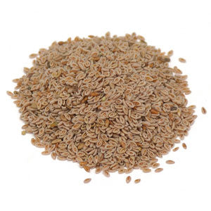 Psyllium Seed